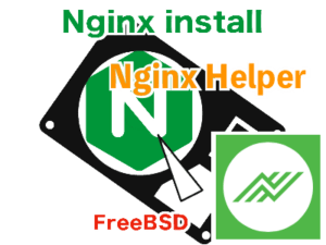 nginx helper plugin